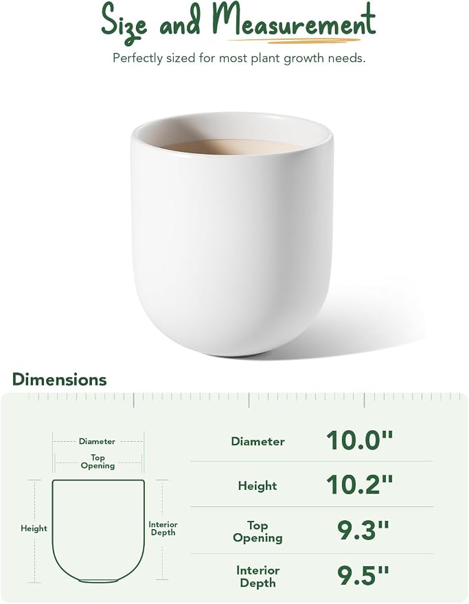 LE TAUCI 10 Inch Plant Pot, Ceramic Pots for Plants with Drainage Hole and Rubber Plug, Plant Pots Indoor for Olive Tree, Cylinder Planter Pot for Home Patio Office, White