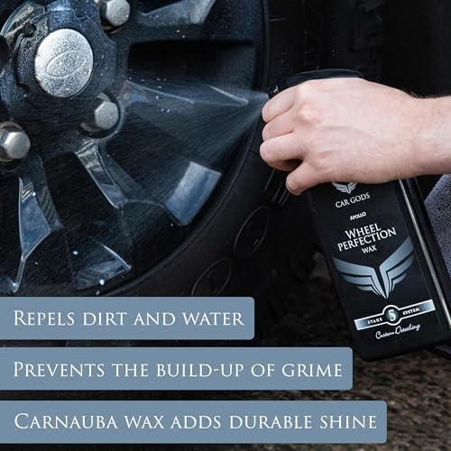 Car Gods Alloy Wheel Carnauba Wax Perfection Polish, 17 Fl Oz