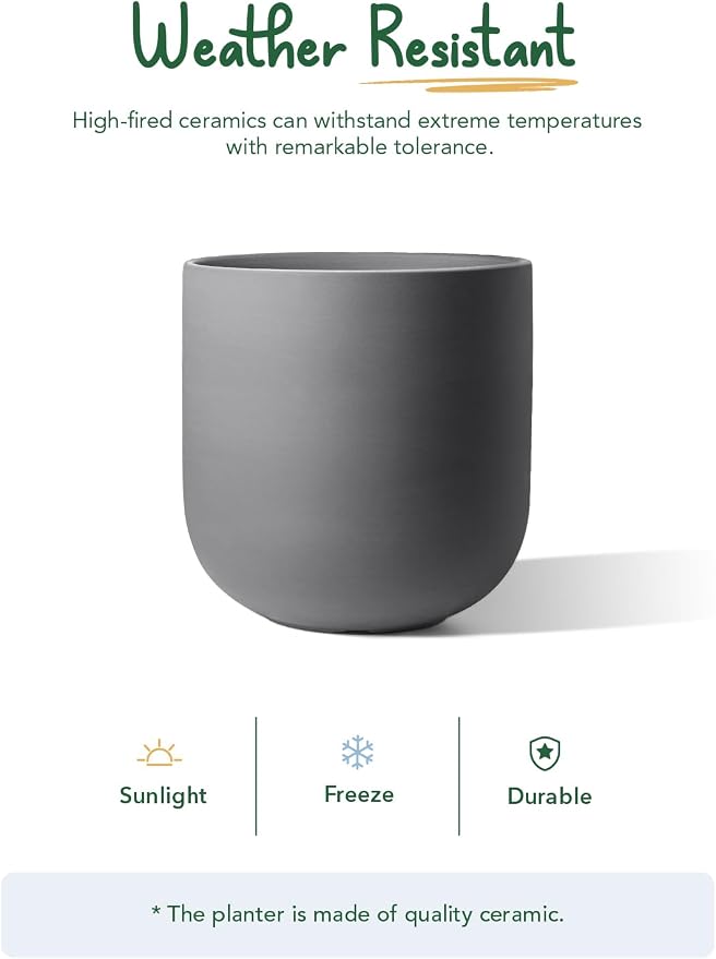 LE TAUCI 10 Inch Plant Pot, Ceramic Pots for Plants with Drainage Hole and Rubber Plug, Plant Pots Indoor for Home Garden Patio Office, Cylinder Planters for Indoor Plants, Charcoal Gray