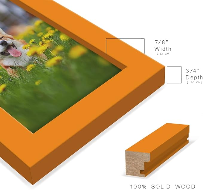 Renditions Gallery 4x6 inch Picture Frame High-end Modern Style, Made of Solid Wood and High Definition Glass Ready for Wall and Tabletop Photo Display, Orange Frame