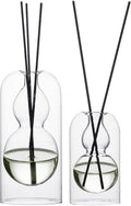 Empty Glass Fragrance Reed Diffuser Bottles,for Essential Oil, with 16pcs Black Reed Sticks,Minimalist Decor,2pcs/Set.