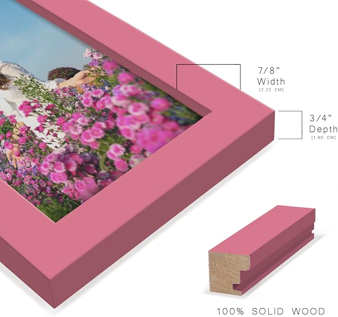 Renditions Gallery 4x6 inch Picture Frame High-end Modern Style, Made of Solid Wood and High Definition Glass Ready for Wall and Tabletop Photo Display, Hot Pink Frame