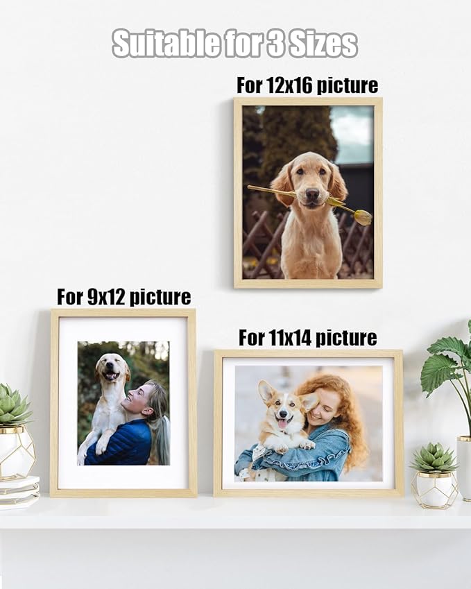 Egofine 12x16 Picture Frame Made of Solid Wood with Plexiglass, Display Pictures 9x12/11x14 with Mat or 12x16 Without Mat for Wall Mounting, Oak Wood