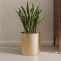 Gold Metal Plant Pot with Drainage Hole,7 Inch Mid Century Modern Small Pot Indoor Outdoor Planters for Succulents, Flowers & Home Decor Gift Window Living Room Bedroom
