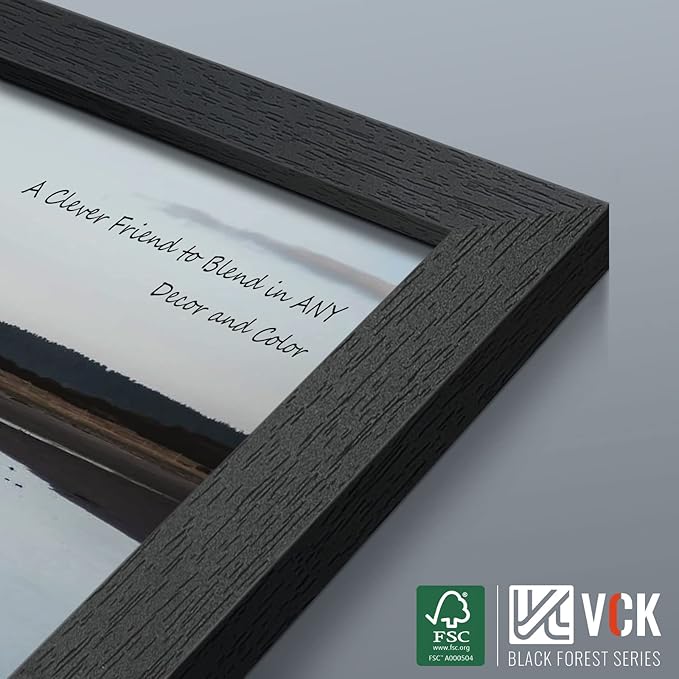 VCK 12x18 Poster Frame - 2 pack, Solid Wood Picture Frames with Polished Plexiglass, Wall Hanging (black)