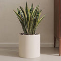Beige Metal Plant Pot with Drainage Hole,7 Inch Mid Century Modern Small Pot Indoor Outdoor Planters for Succulents, Flowers & Home Decor Gift Window Living Room
