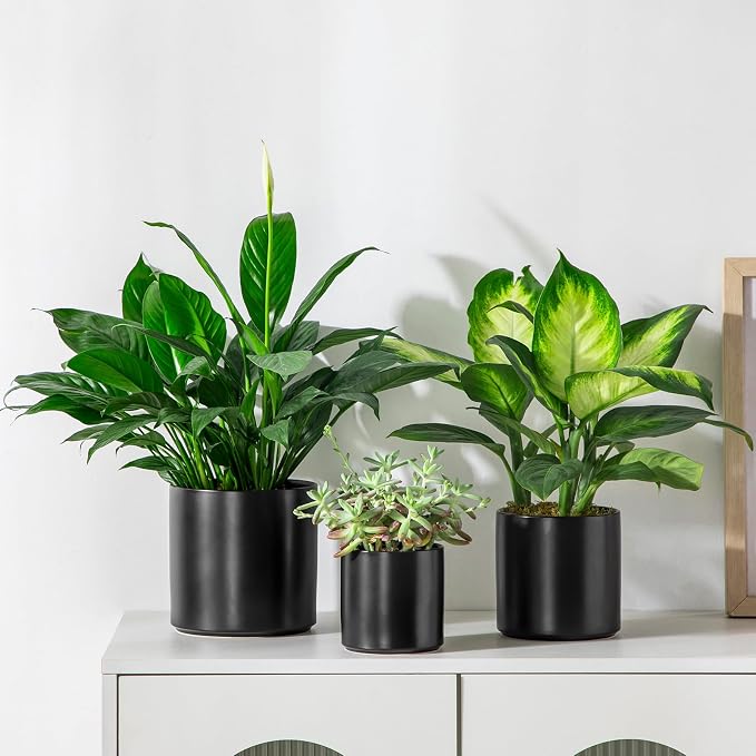 vancasso Ceramic Plant Pots, 4.25+5.25+6.25 Inch Planter Pot with Drainage Hole, Flower Pots for Indoor Outdoor Plants, Set of 3, Black