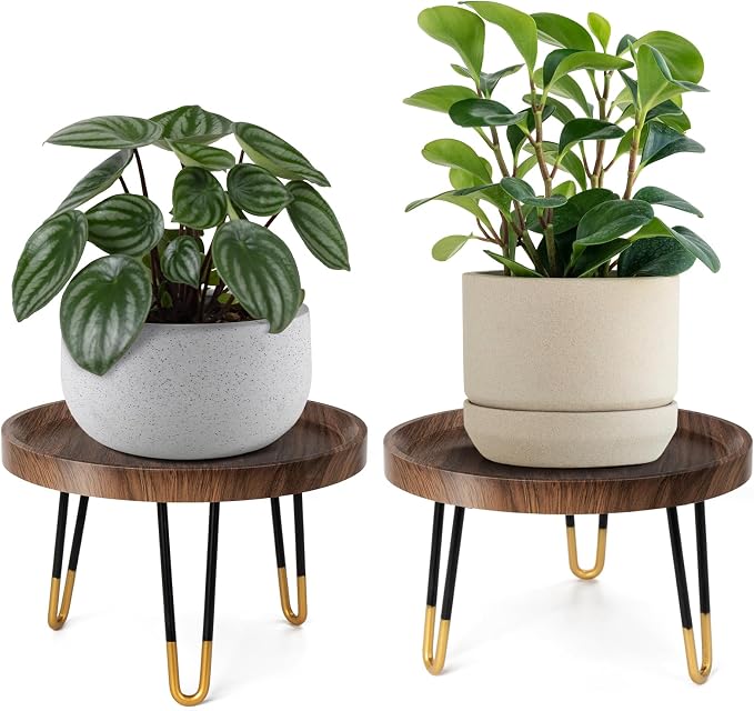 OBTAIN Plant Stand Indoor Outdoor,2 Set Mid Century Style Walnut Wood Color Plant Stand,Waterproof Design Modern Plant Table,Easily Assemble Come With Tools,Nice For Room Decor (M,L)