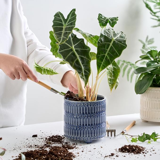 STHIE 5 Inch Ceramic Planters for Indoor Plants, Blue Cactus Snake Plant Pots with Drainage, Unique Design Round Flower Pot for Home Decoration