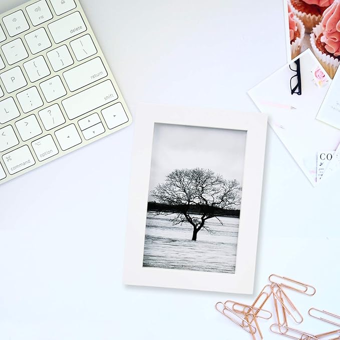 Egofine 4x6 Picture Frame Made of Solid Wood with Plexiglass, Display Pictures 3.5x5 with Mat or 4x6 Without Mat for Tabletop and Wall Mounting, White
