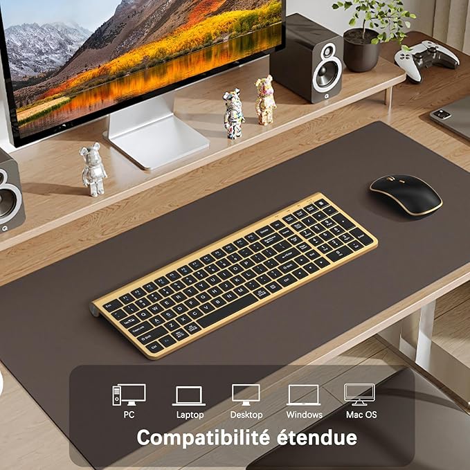 JOYACCESS Black Gold Wireless Keyboard Mouse Combo,Ergonomic Cordless Keyboard with Adjustable Tilt,Comfortable and Quiet Mouse for Laptop,Computer,PC