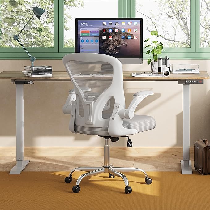 DEVAISE Office Chair Ergonomic Computer Desk Chair with Flip-up Armrests, Comfy Mesh with Adjustable Lumbar Support, White
