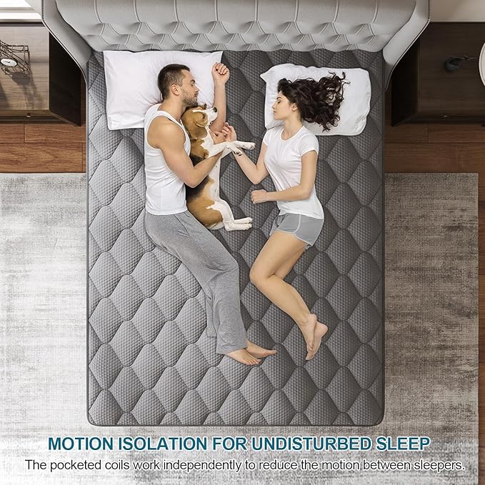 Queen Mattress, 12 Inch Hybrid Mattresses Grey, Euro Top Medium Firm for Back & Lumbar Support, 100 Night Trial, Individual Pocket Spring for Motion Isolation & Pressure Relief