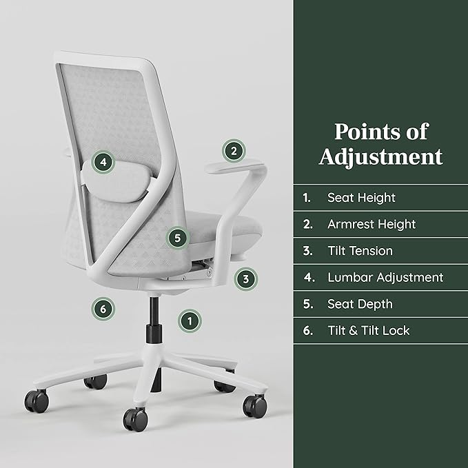 Branch Verve Chair - High Performance Executive Office Chair with Contoured Seat Back and Adjustable Lumbar Rest - High Density Foam Cushion with Aluminum Base - Up to 275 lbs - Mist