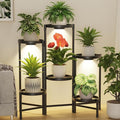LASZOLA 6 Tier Large Plant Stand Indoor Tall with Grow Lights, Corner Folding Flower Display Rack with 10 Inch Metal Tray, Modern Plant Holder Shelf for Outdoor Patio Porch Garden Living Room, Black